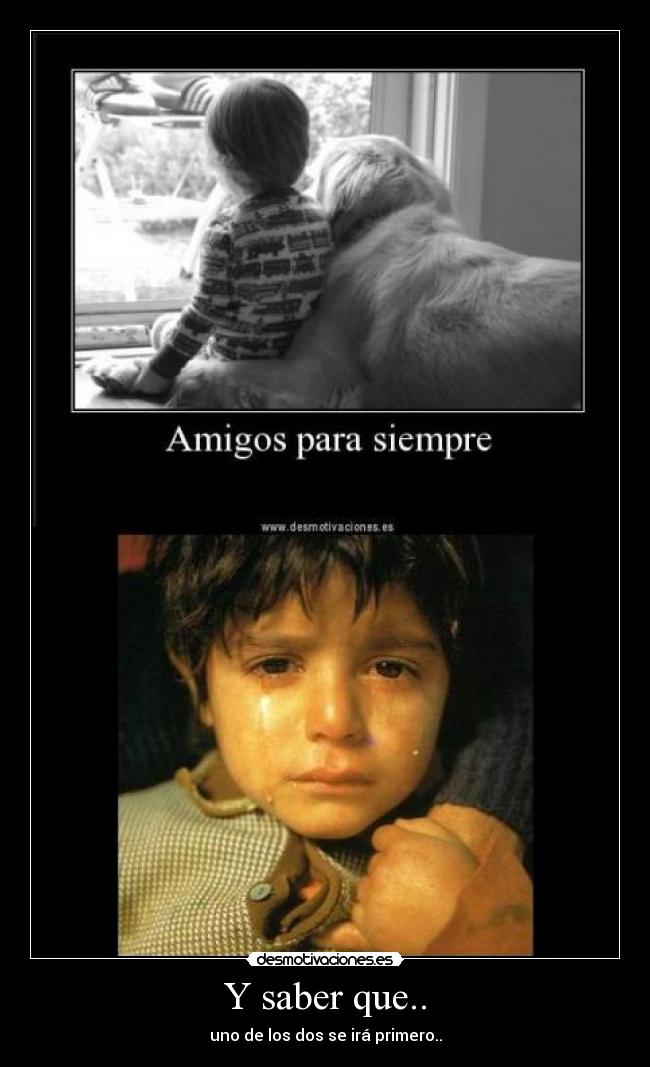 carteles amistad desmotivaciones