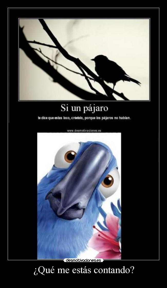 ¿Qué me estás contando? -