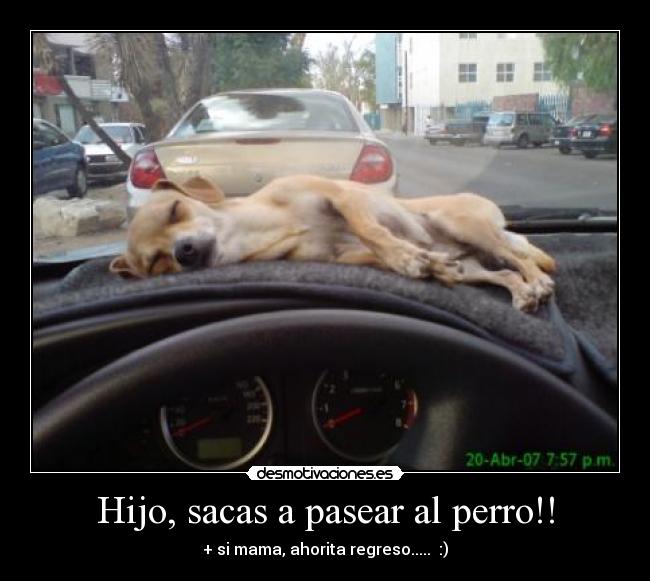 Hijo, sacas a pasear al perro!! -