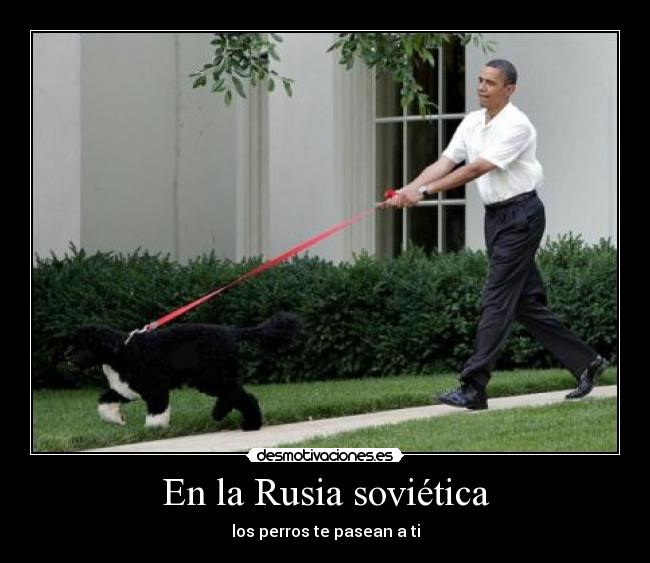 En la Rusia soviética - los perros te pasean a ti