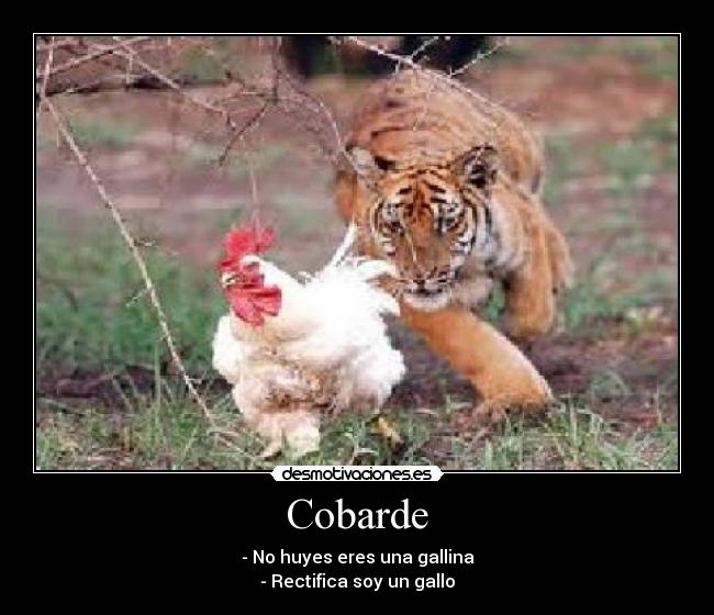 Cobarde - - No huyes eres una gallina
- Rectifica soy un gallo