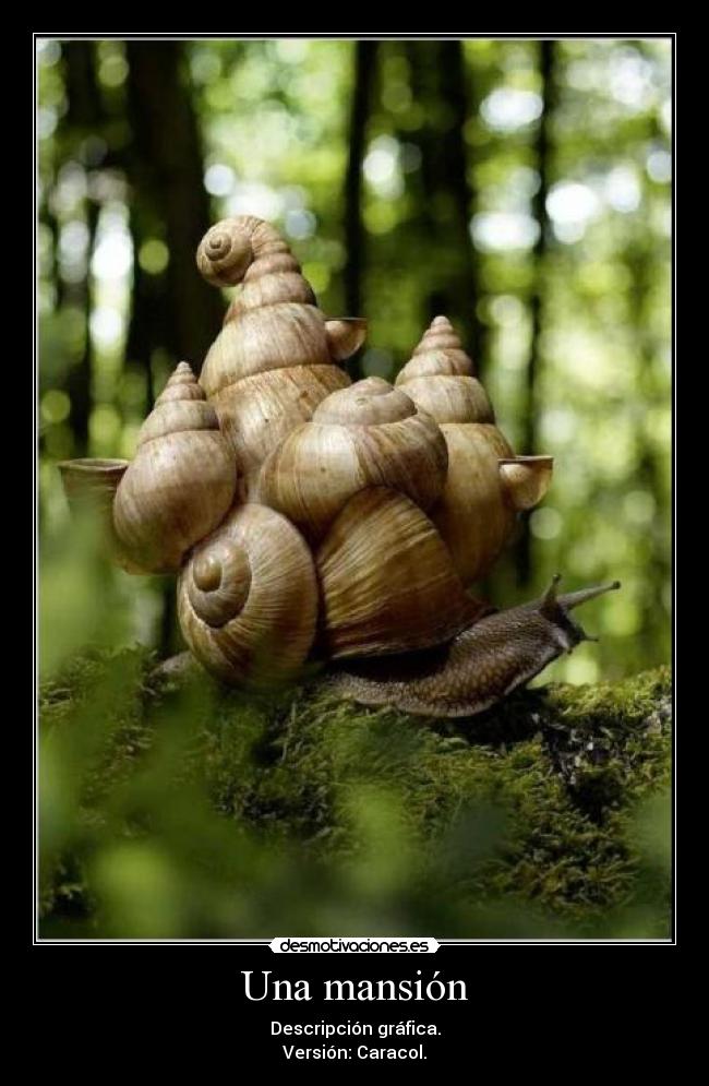 Una mansión - 