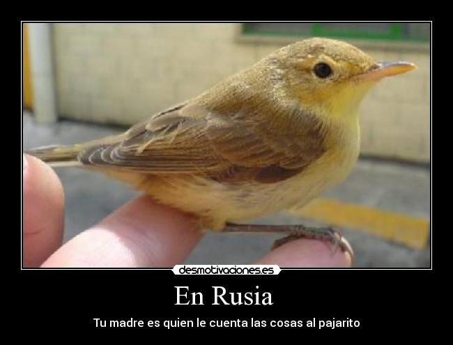 En Rusia  - 