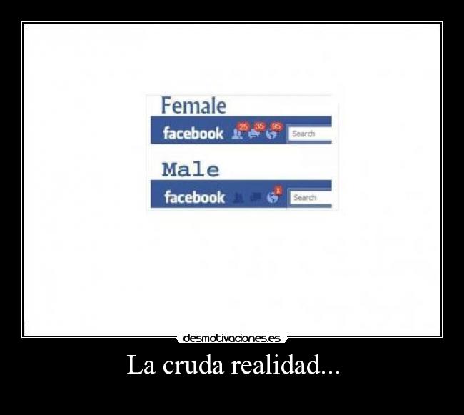 La cruda realidad... -