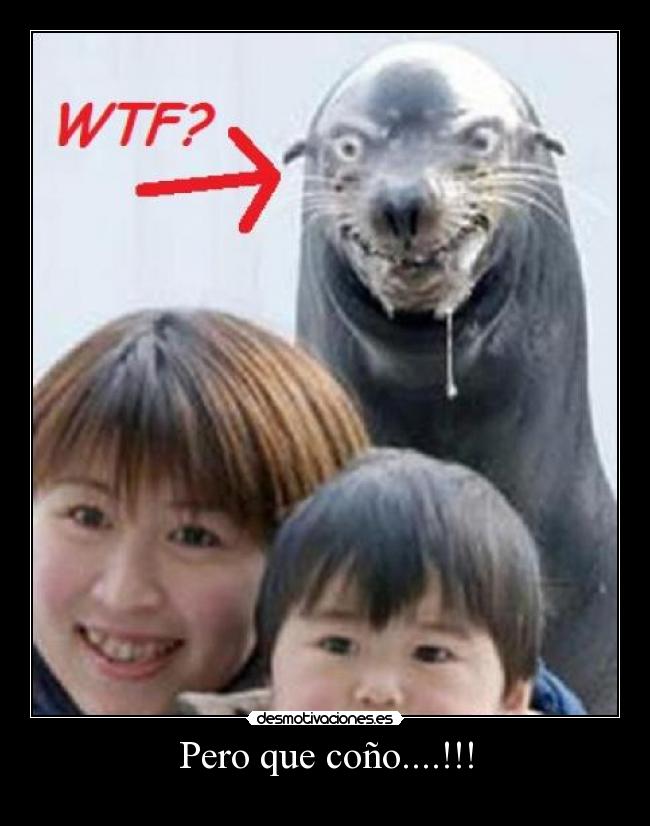 Pero que coño....!!! -