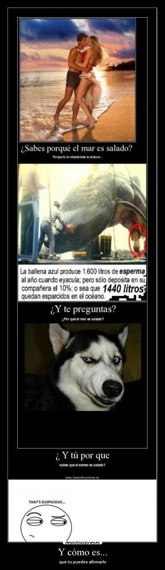 Y cómo es... - que tu puedes afirmarlo