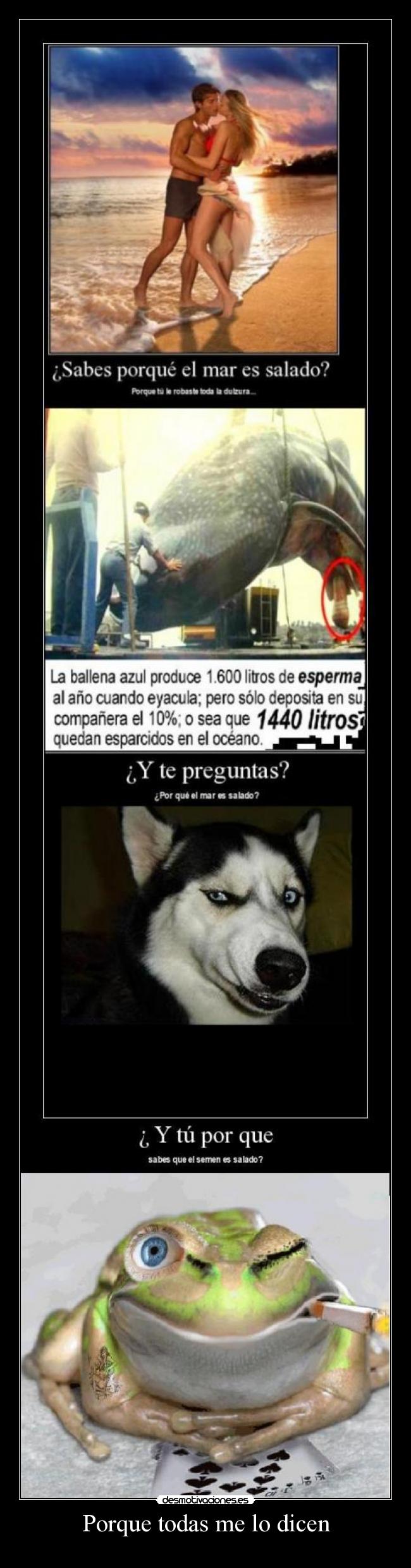 Porque todas me lo dicen - 