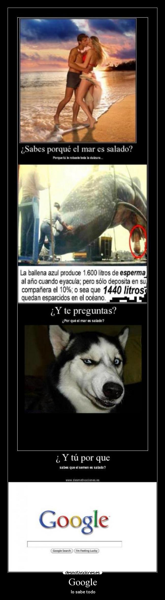 Google - lo sabe todo