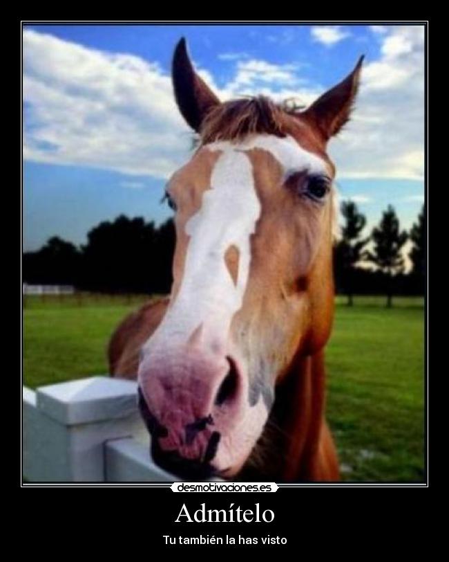 Admítelo -