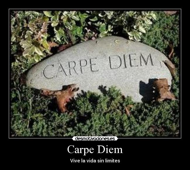 Carpe Diem - 