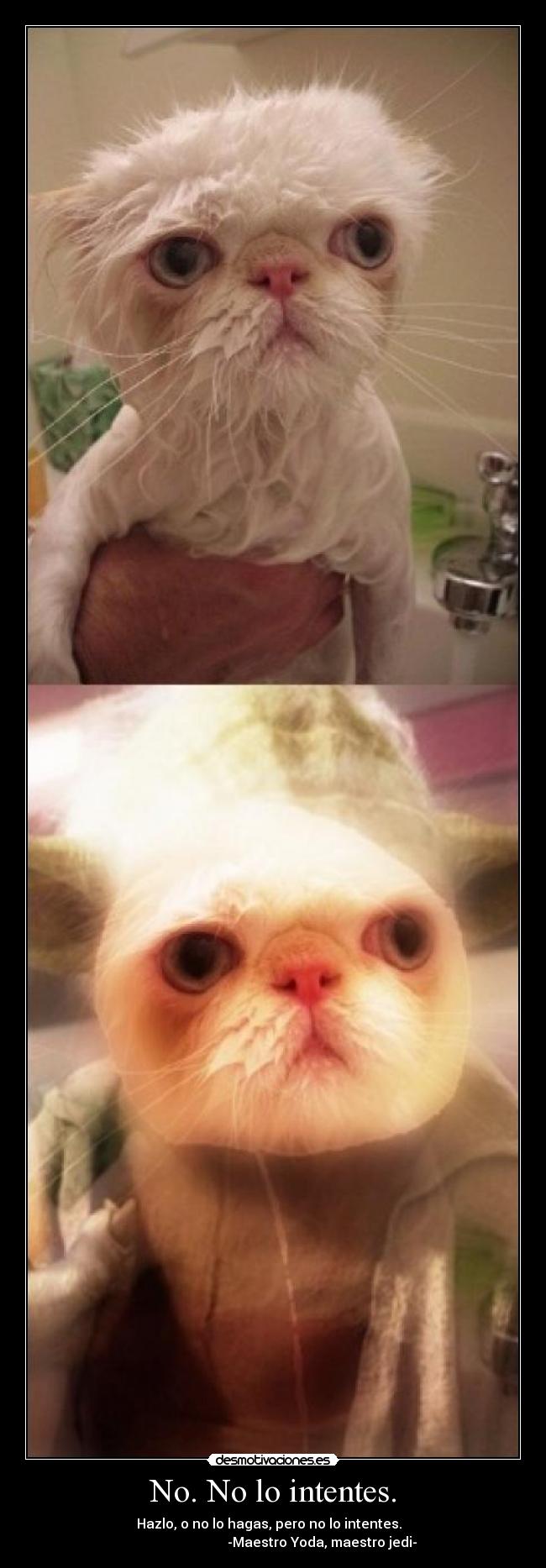 No. No lo intentes. -              Hazlo, o no lo hagas, pero no lo intentes.               
                             -Maestro Yoda, maestro jedi-