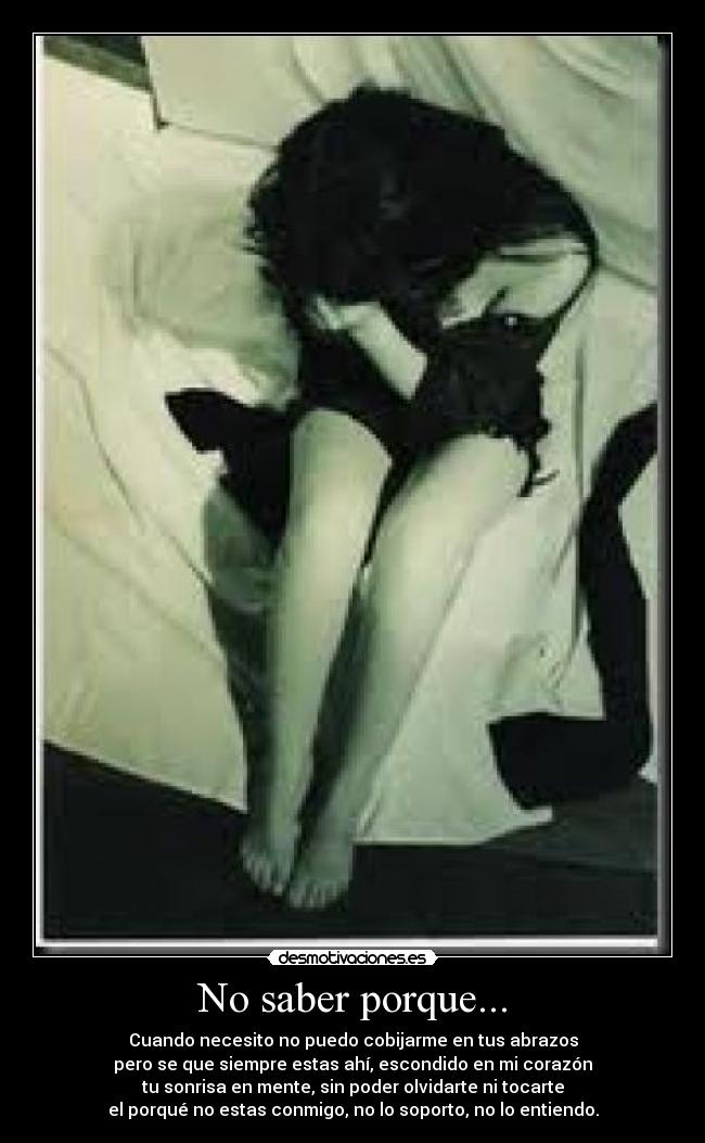 No saber porque... - Cuando necesito no puedo cobijarme en tus abrazos
pero se que siempre estas ahí, escondido en mi corazón
tu sonrisa en mente, sin poder olvidarte ni tocarte
el porqué no estas conmigo, no lo soporto, no lo entiendo.