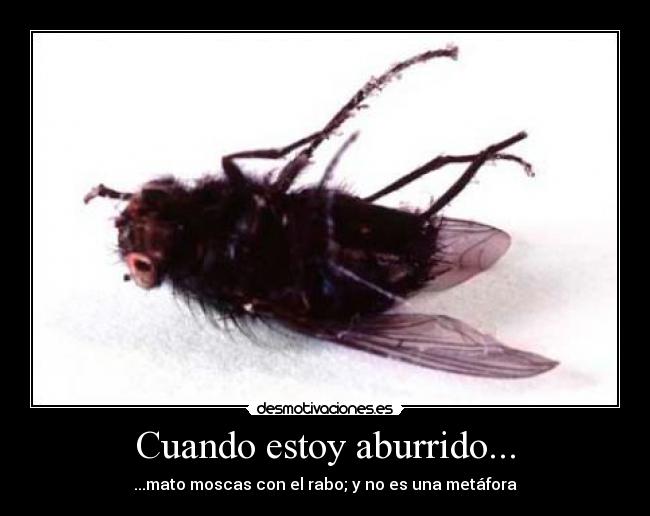 Cuando estoy aburrido... - 