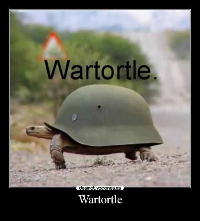Wartortle - 