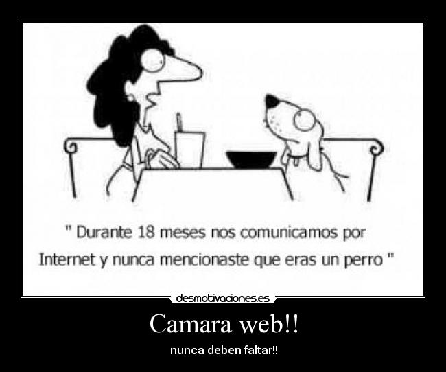 Camara web!! - nunca deben faltar!!