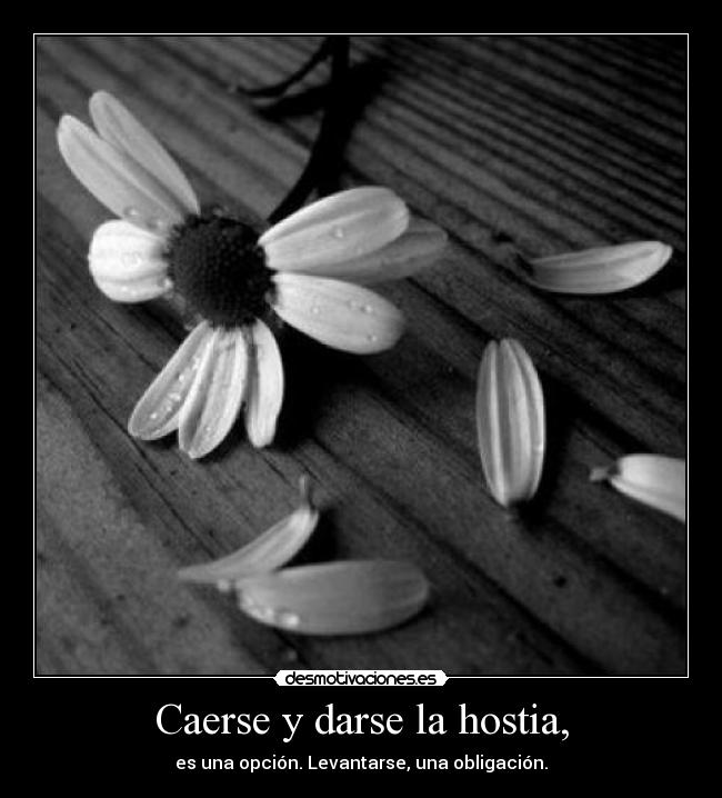 Caerse y darse la hostia, - es una opción. Levantarse, una obligación.