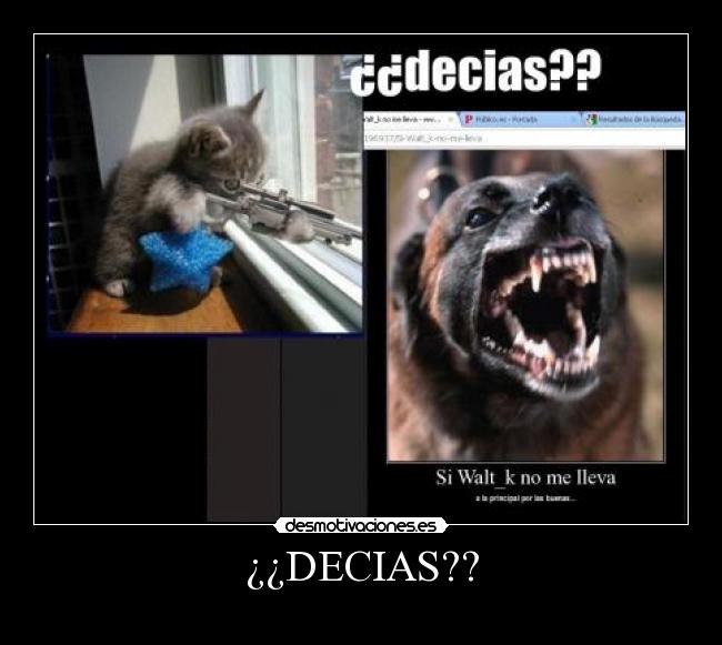 ¿¿DECIAS?? -