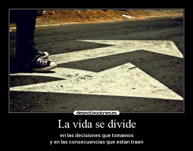 La vida se divide -