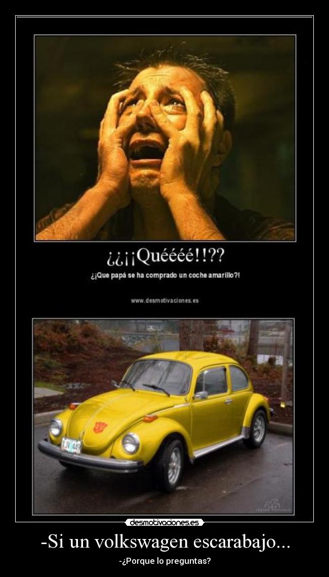 -Si un volkswagen escarabajo... -