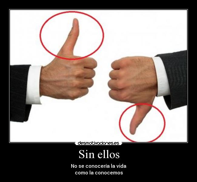 Sin ellos - No se conocería la vida
como la conocemos