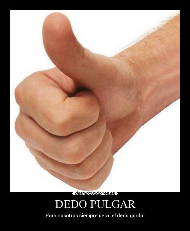 DEDO PULGAR - Para nosotros siempre sera `el dedo gordo´