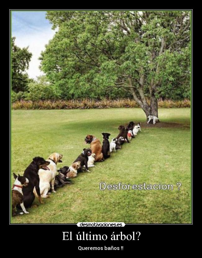 El último árbol? - Queremos baños !! 