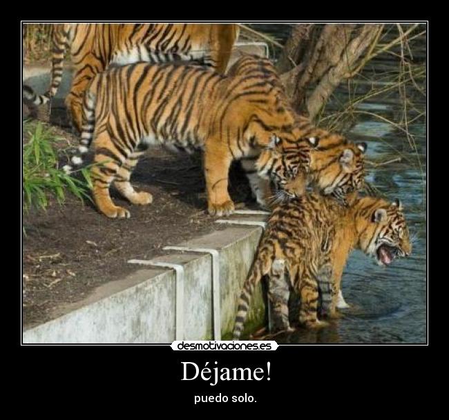 carteles puedo solo desmotivaciones