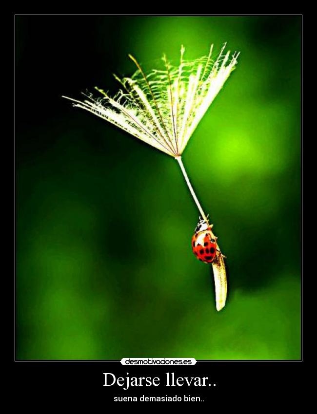 carteles drul desmotivaciones