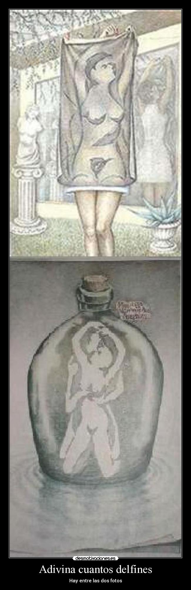 Adivina cuantos delfines - 