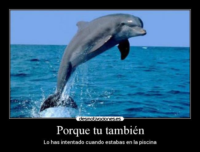 Porque tu también - Lo has intentado cuando estabas en la piscina