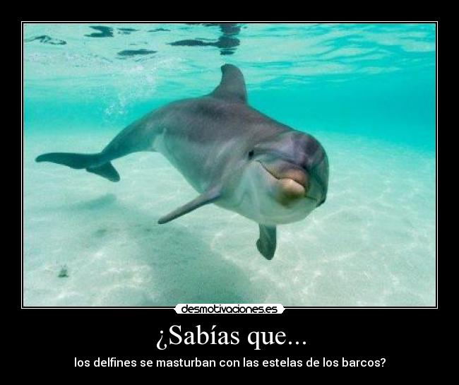 ¿Sabías que... -