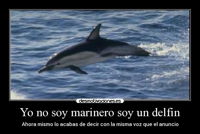 Yo no soy marinero soy un delfin - Ahora mismo lo acabas de decir con la misma voz que el anuncio