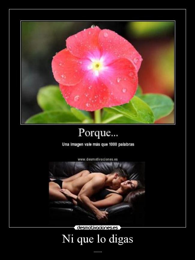 Ni que lo digas - .......