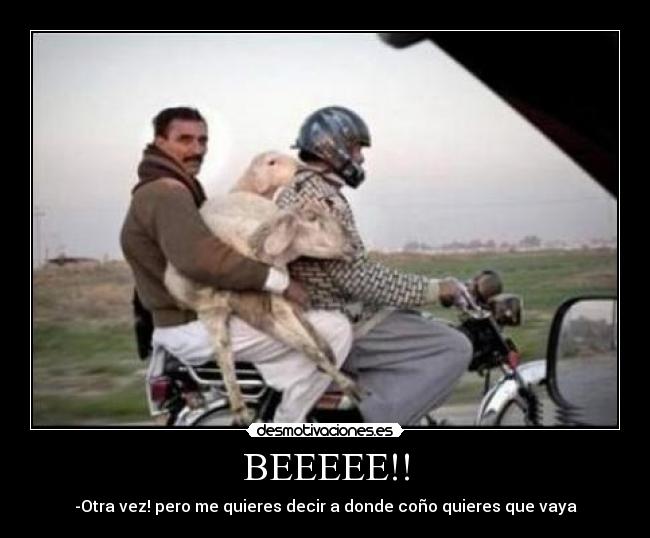 BEEEEE!! - -Otra vez! pero me quieres decir a donde coño quieres que vaya