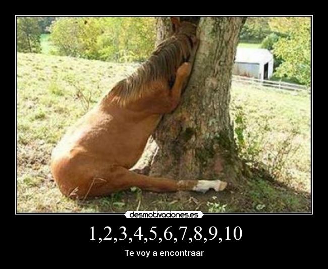 carteles escondite desmotivaciones