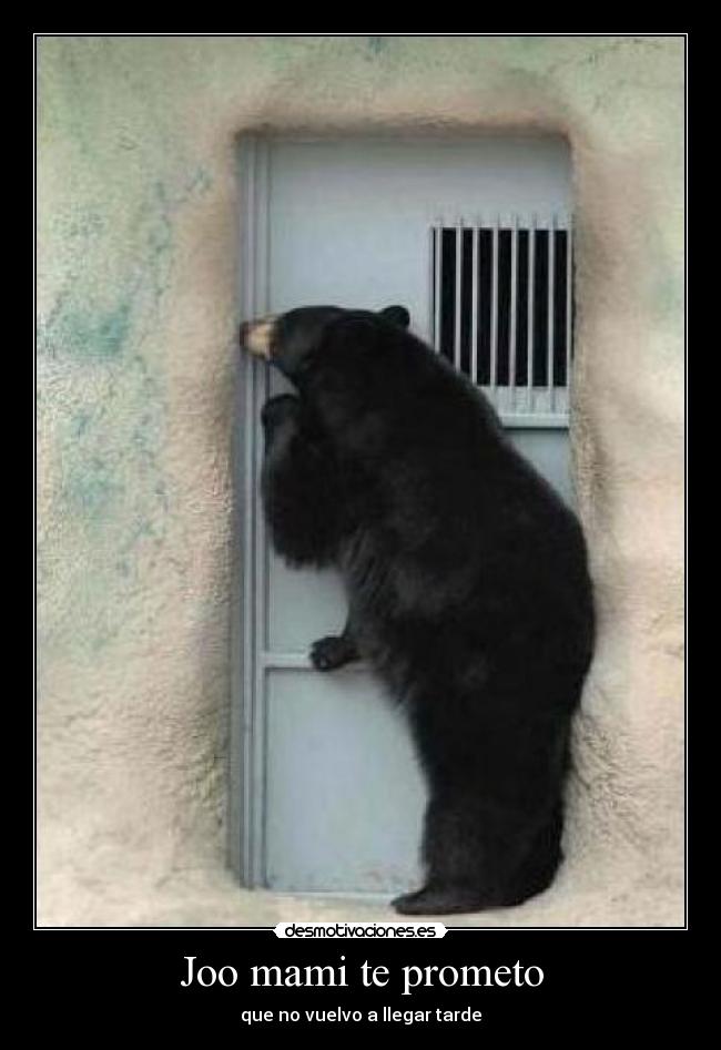 Joo mami te prometo - 