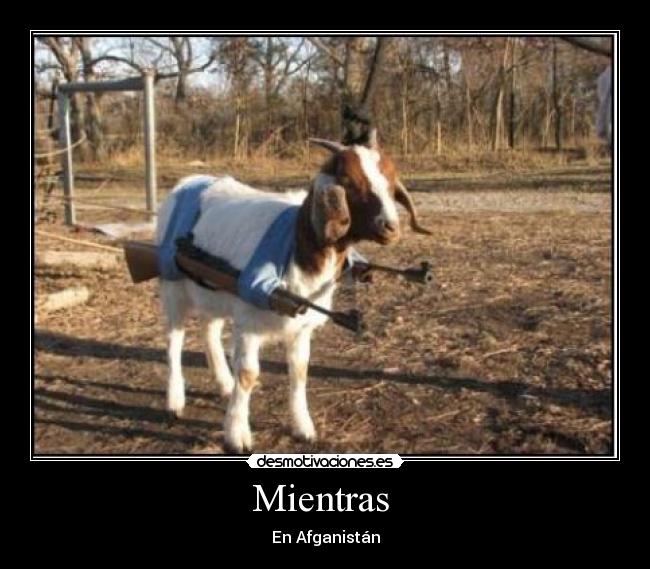 carteles mientras desmotivaciones