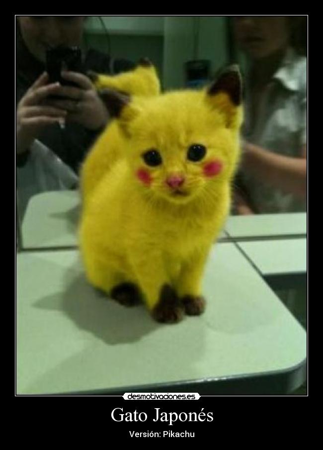 Gato Japonés - Versión: Pikachu