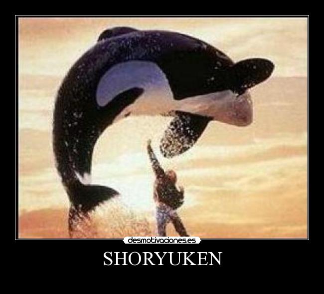 SHORYUKEN - 