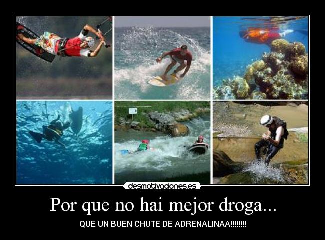 carteles verdades desmotivaciones