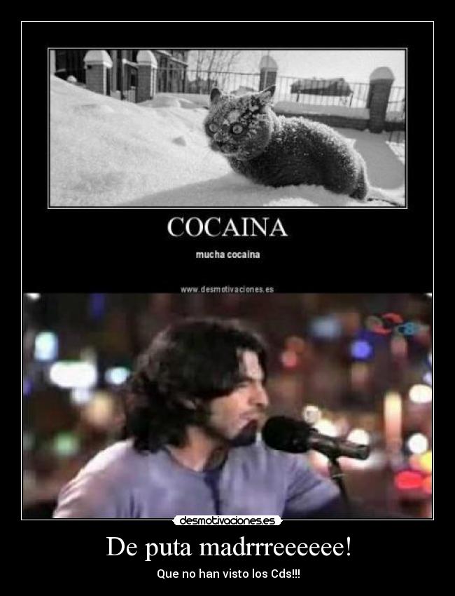 De puta madrrreeeeee! - Que no han visto los Cds!!!