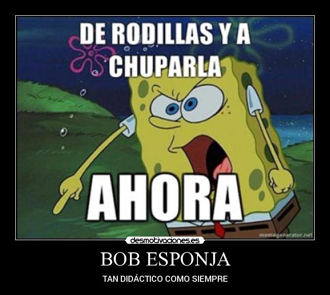 BOB ESPONJA - TAN DIDÁCTICO COMO SIEMPRE