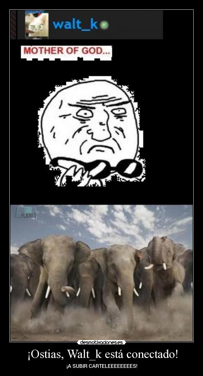 ¡Ostias, Walt_k está conectado! -