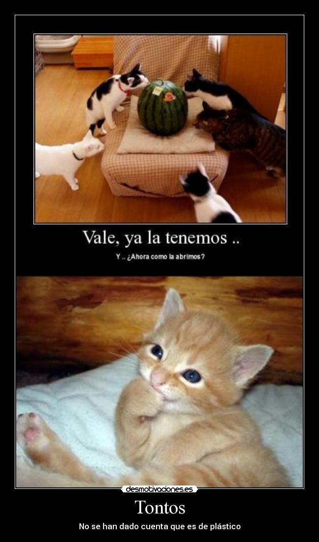 Tontos - No se han dado cuenta que es de plástico