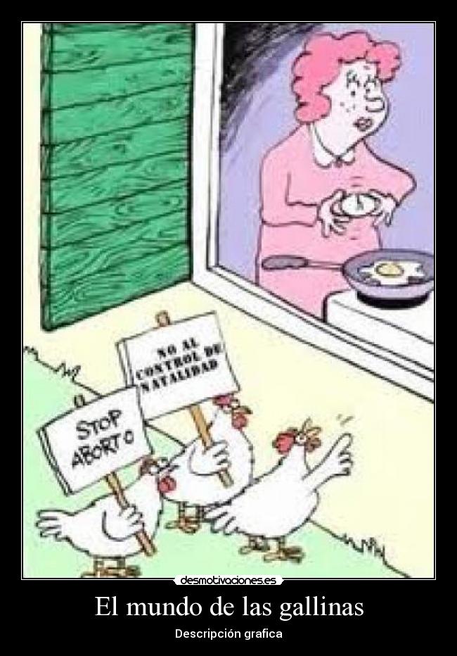 El mundo de las gallinas - Descripción grafica