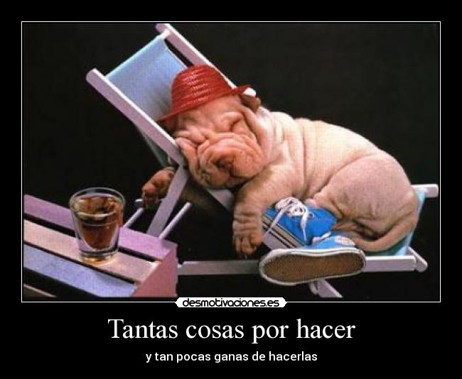 Tantas cosas por hacer -
