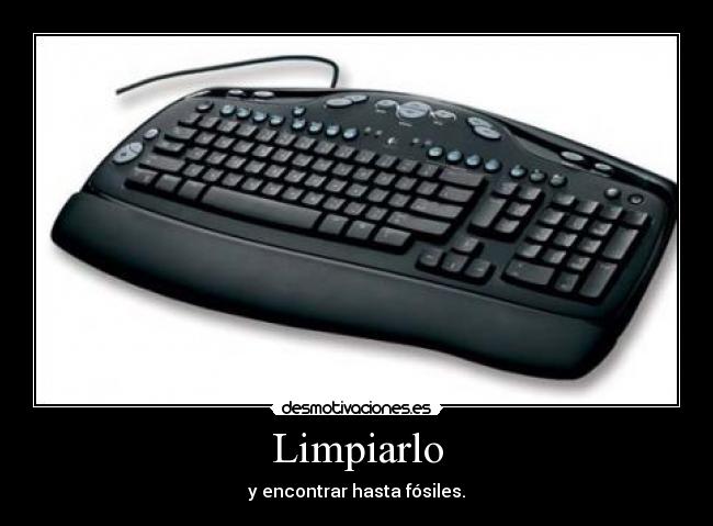 Limpiarlo - y encontrar hasta fósiles.