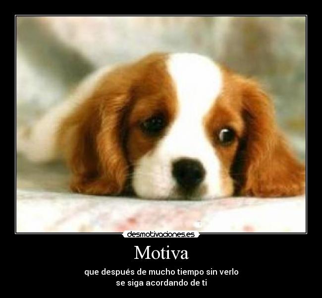 Motiva - que después de mucho tiempo sin verlo
se siga acordando de ti