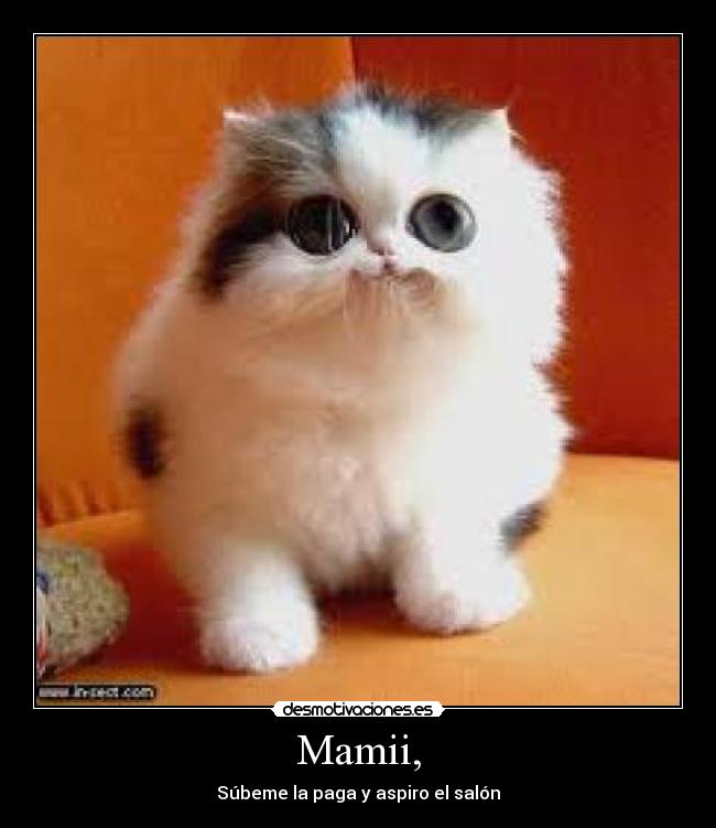 Mamii, - Súbeme la paga y aspiro el salón