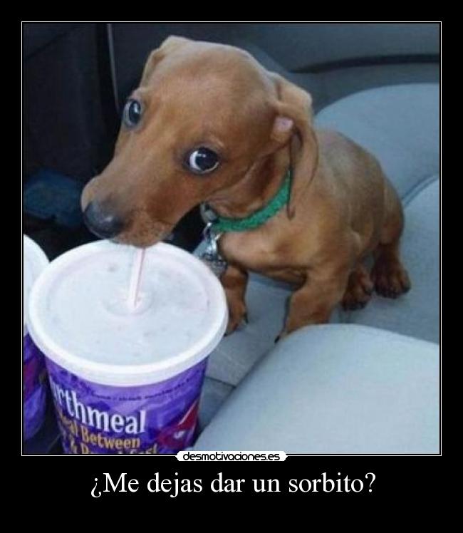 ¿Me dejas dar un sorbito? - 